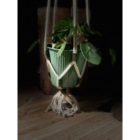 Eigentijdse macramé plantenhangers