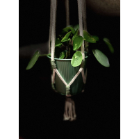 Eigentijdse macramé plantenhangers
