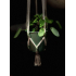 Eigentijdse macramé plantenhangers