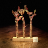 eenvoudig plankje uit massieve eik voorzien van drie glazen buisjes met droogbloemen