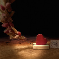 ronde decoratie met lichtjes, droogbloemen en een eenvoudig hartje centraal op de basis 