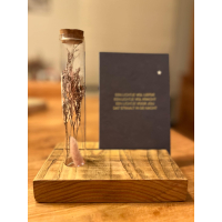 plankje in steigerhout met uitsparing voor kaartje en voorzien van glazen buisje droogbloemen