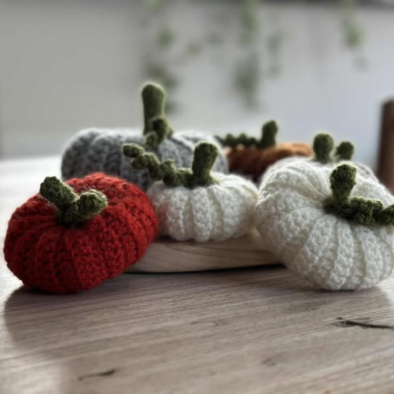 pompoen handgemaakt medium