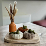 herfstdeco set pompoenen