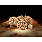 houtschijf met houtbranddecoratie