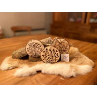 houtschijf met houtbranddecoratie