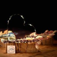 hartje in metaaldraad met droogbloemen (tinten te kiezen) op steigerhouten plankje