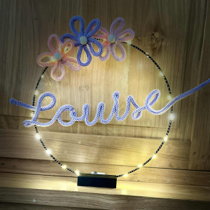 Punniknaam in staande ring met verlichting. Volledig aanpasbaar volgens persoonlijke voorkeur.