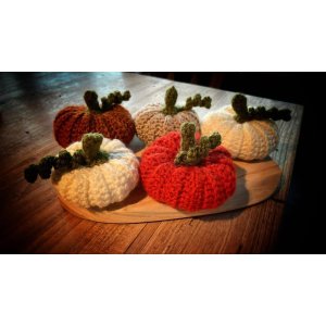 pompoen handgemaakt klein