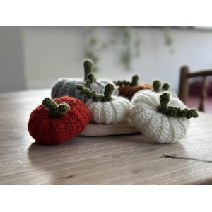 pompoen handgemaakt medium